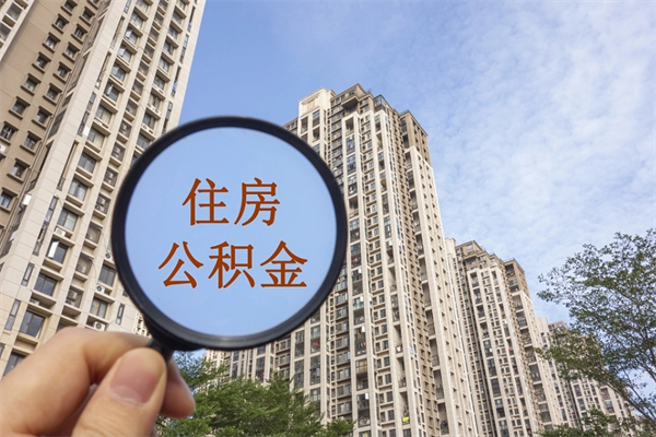 公积金还看征信吗吗_天门公积金代办在职离职封存服务
